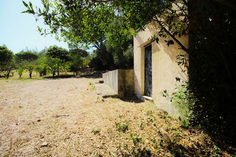 Herregård i Sintra, Lisbon, Sintra - € 1 799 000 | Ref: W-02WOZX - foto 37